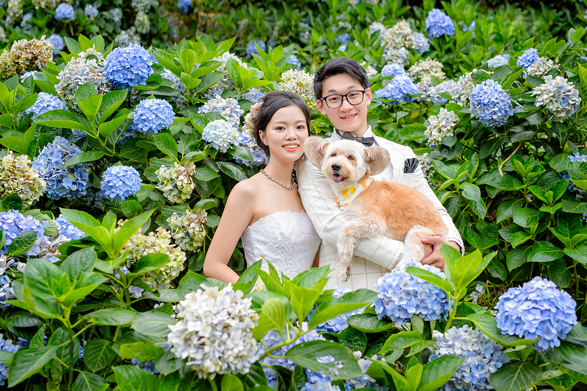 婚禮紀錄檔期詢問,婚攝,婚禮攝影,Yalom Wang Studio,WeddingDay